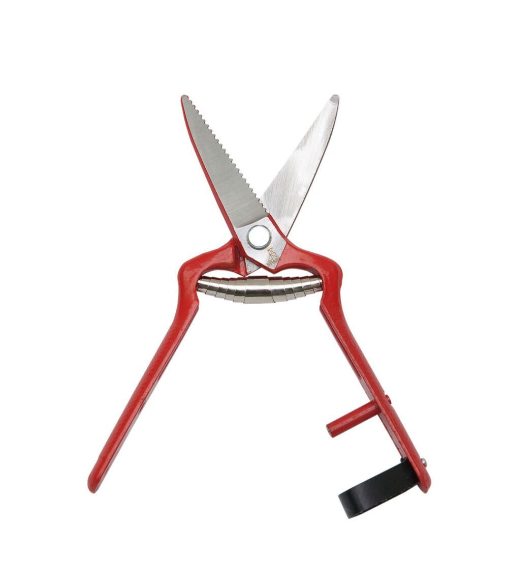 Tijera Profesional Pintada Recta - Embalada Blister La Pajarita