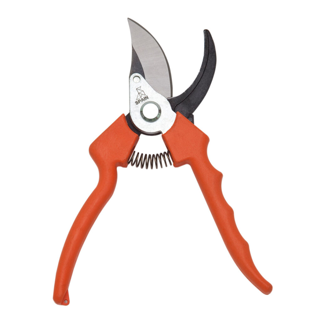 Tijera Profesional Mango Inyección La Pajarita