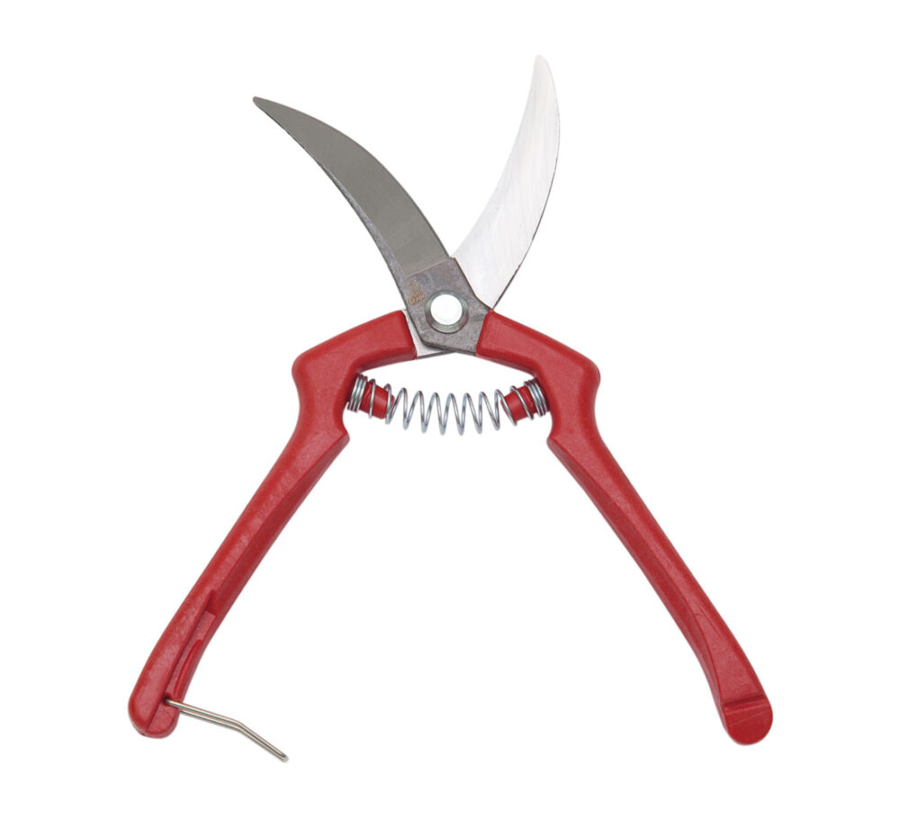 Special Shear for Garlic