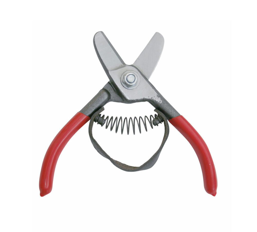 Tijera / Alicate Profesional Especial Cítricos La Pajarita