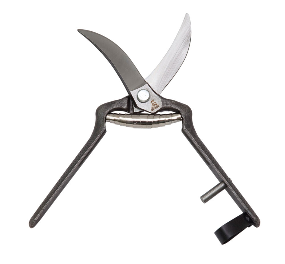 Tijera Profesional Ajos Remache La Pajarita