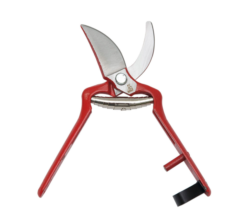 Tijera  Profesional Pintada - Embalada Funda La Pajarita